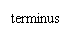 �ı���: terminus

